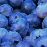 close up of blueberries