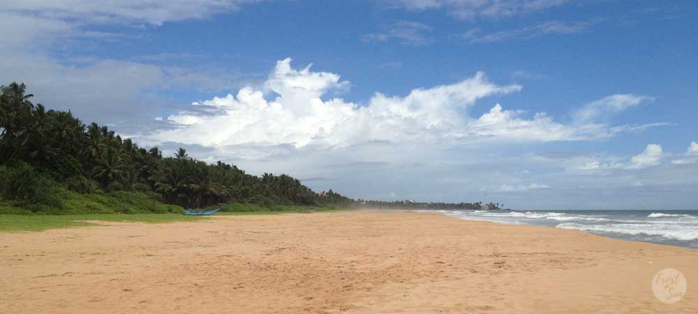 Visit uncrowded beaches in Bentota, Sri Lanka