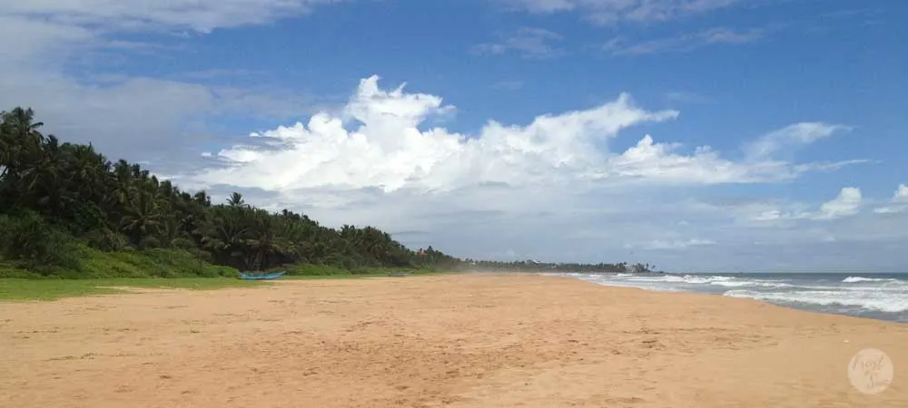 Visit uncrowded beaches in Bentota, Sri Lanka