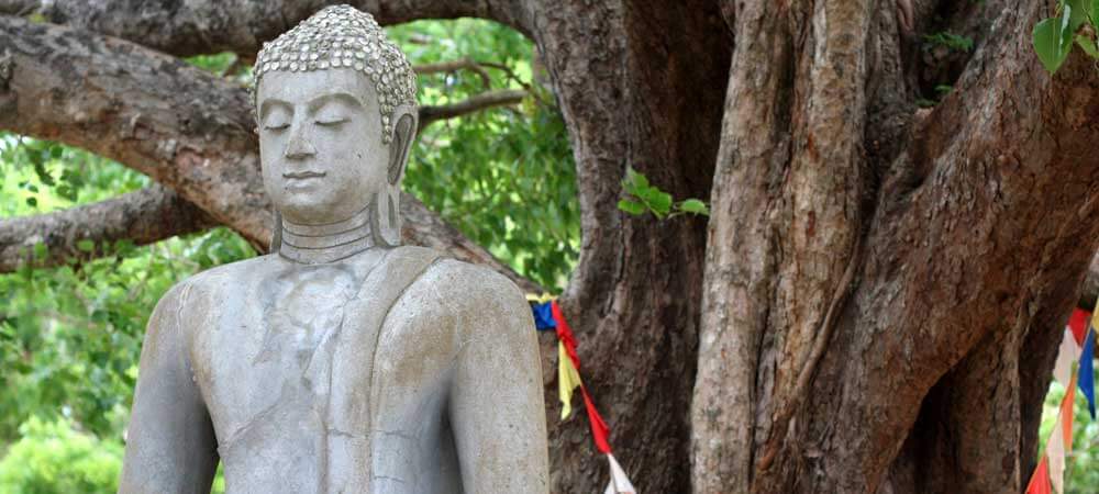Visit Anuradhapura, one of 8 UNESCO sites in Sri Lanka.