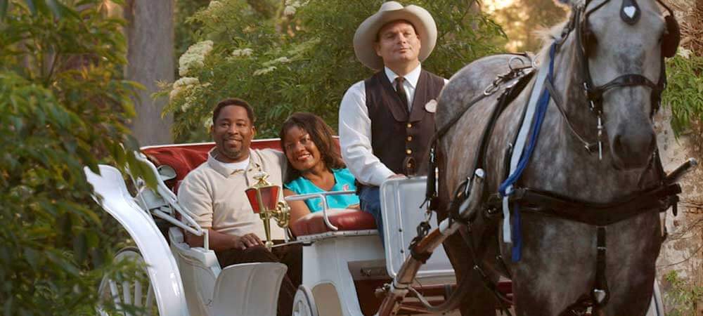 Romance at Disney World: Carriage Rides