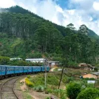 Roll through Sri Lanka via train and see it's pretty countryside. Bonus: Make your friends jealous with a selfie on Sri Lanka's popular blue trains.