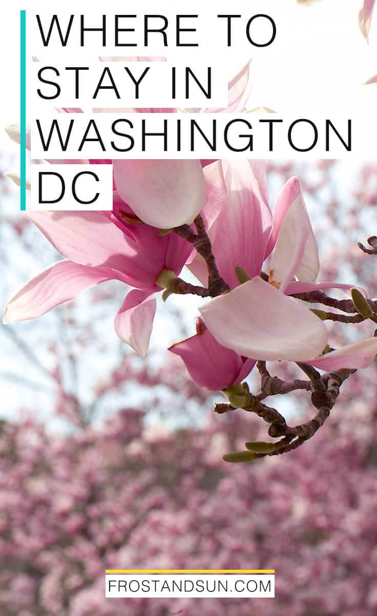 Where to stay in Washington, DC, from budget hostels + hotels to serious luxury offerings. Pin me if you're ready to visit DC!