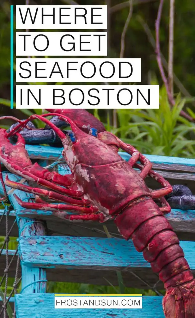 Where to get seafood in Boston, including lobster rolls, fried clams, catch of the day + more!