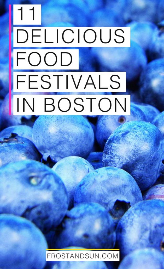 Food festivals in Boston, from seafood to Italian food + more! Pack your stretchy pants!