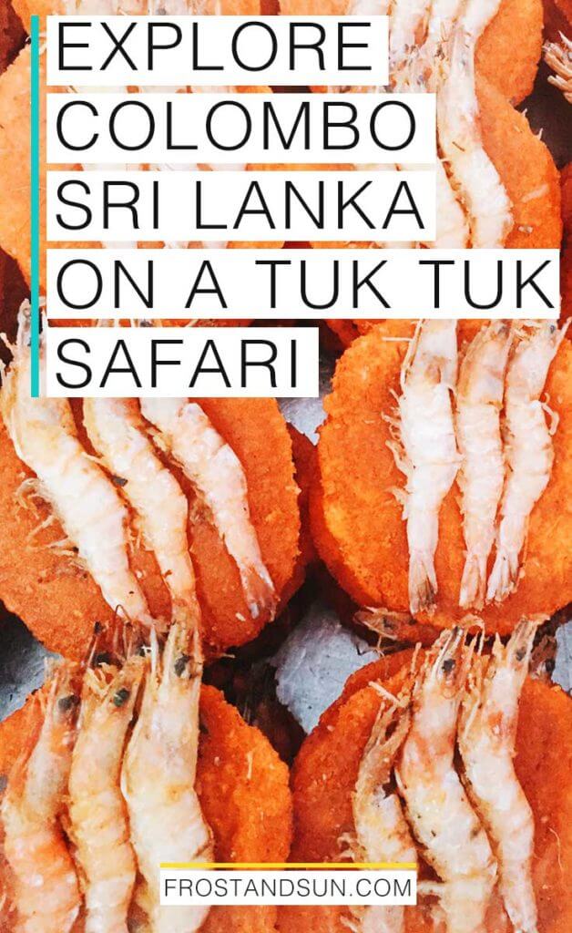 If someone tells you to get out of Colombo when visiting Sri Lanka, don't listen! Take this tour instead. Pin it so you don't forget!