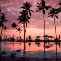 View from a resort pool in Sri Lanka with red and orange sunset and black silhouetted palm trees.