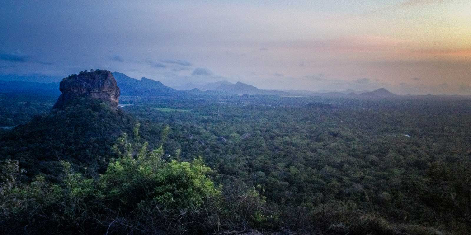 View from the top of Pidurangala Rock at sunset with lots of green trees and Sigiriya Rock in the distance.