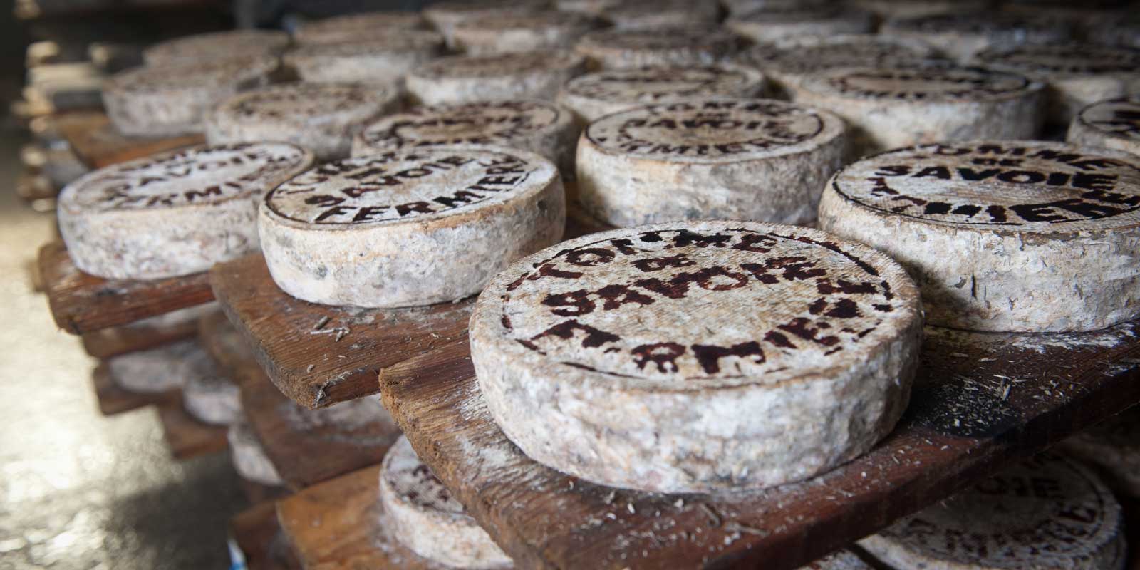 Close up of French cheese wheels.