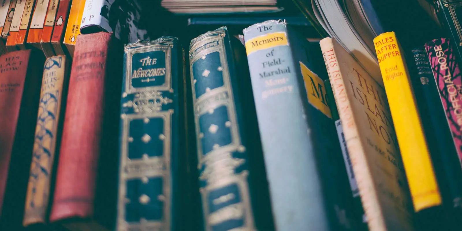 Closeup of the spines of colorful used books.