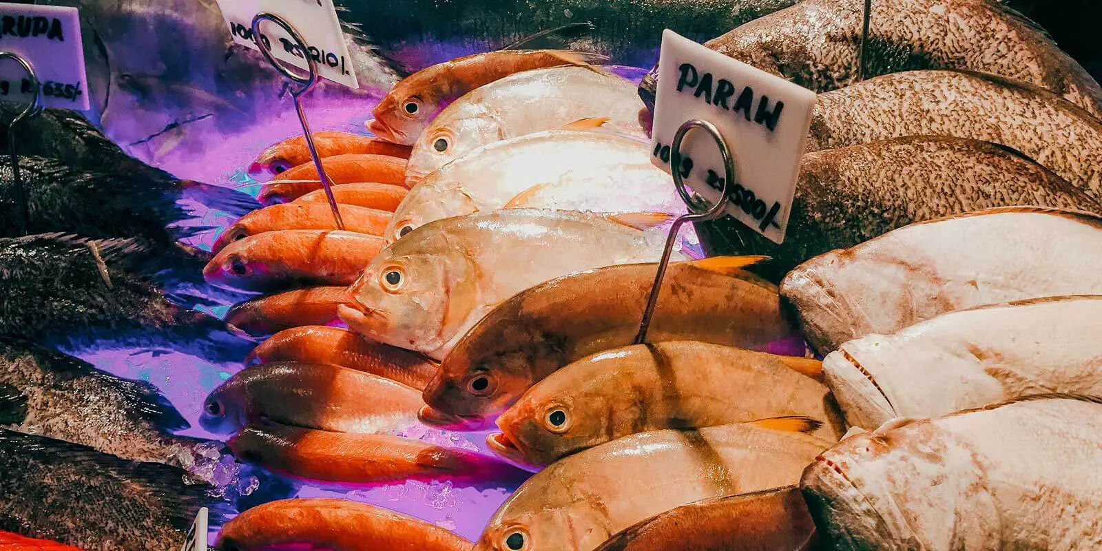 Close up shot of fresh fish ready to be cooked.