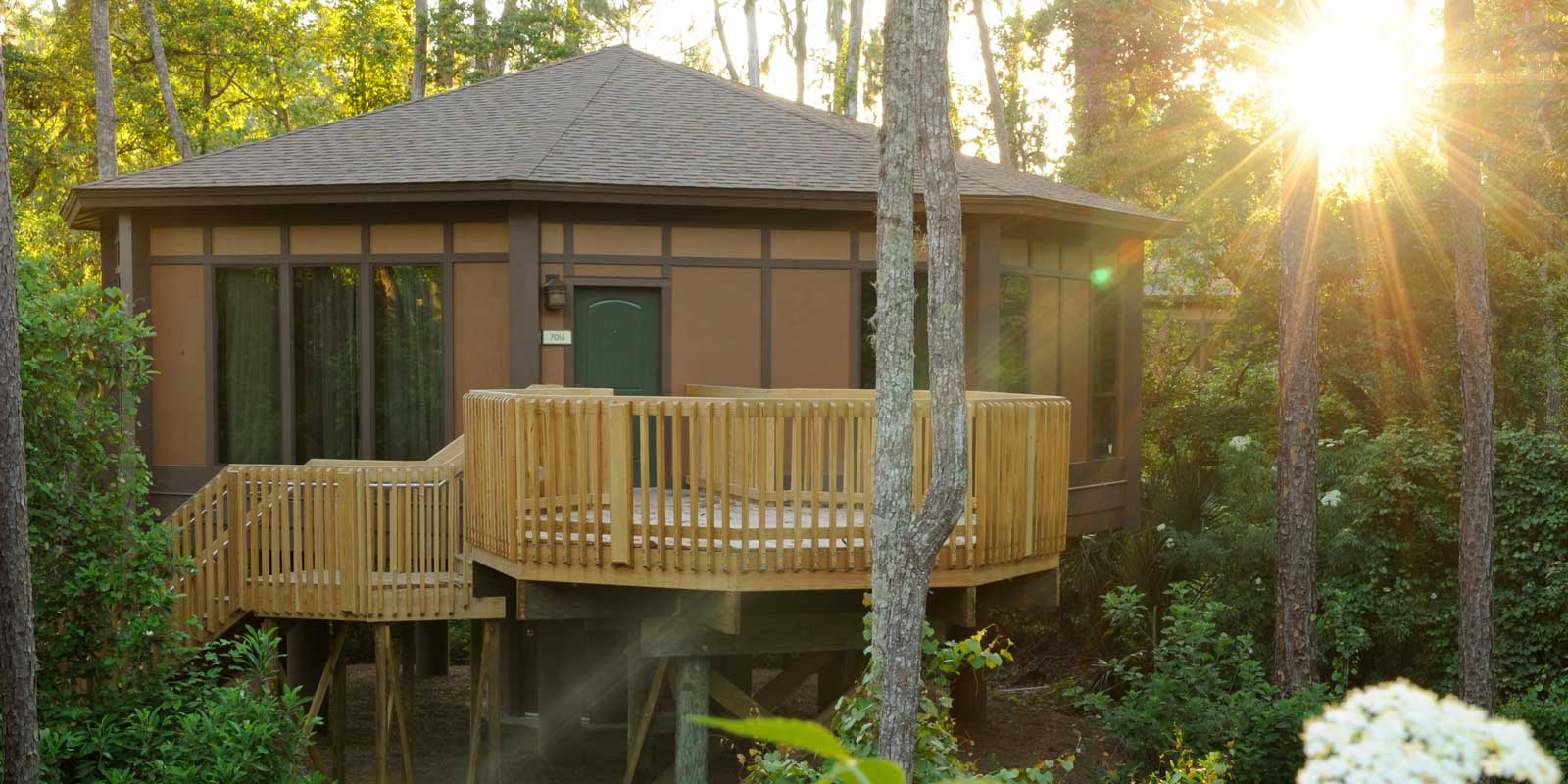 Landscape view of the treehouse villas at Saratoga Springs Resort at Disney World.