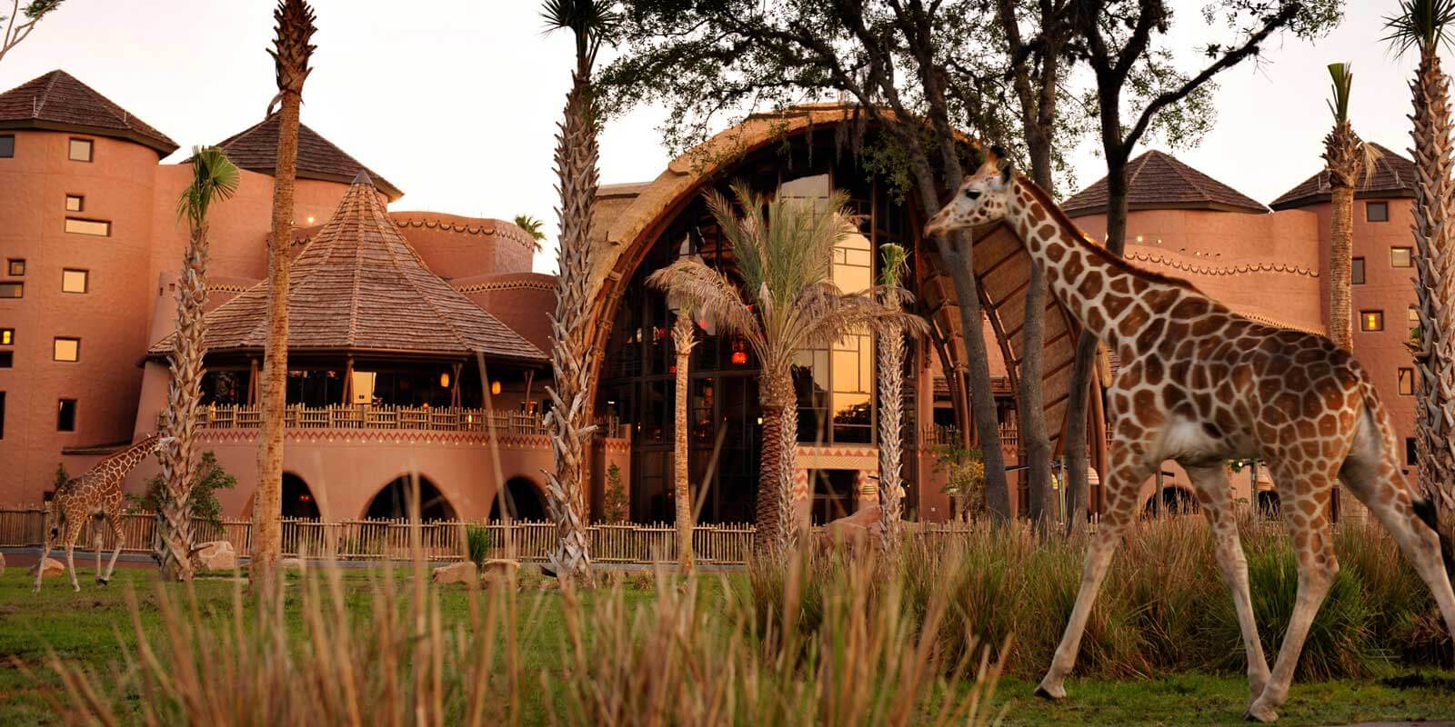 Landscape view of Disney Animal Kingdom Resort, where some of the Disney World timeshare rentals are located.