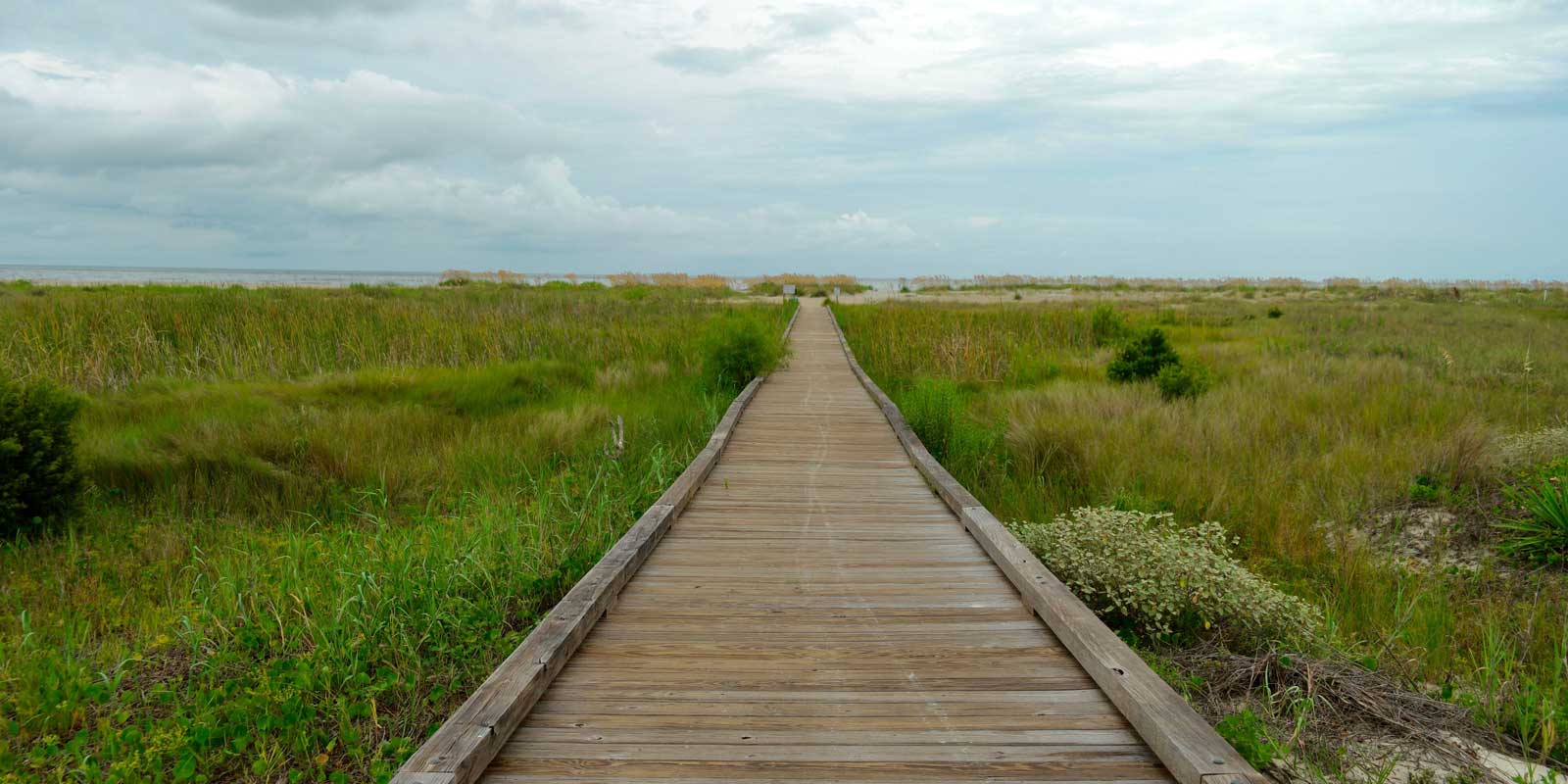 Landscape view of a boardwalk cutting through seagrass in Hilton Head, SC.
