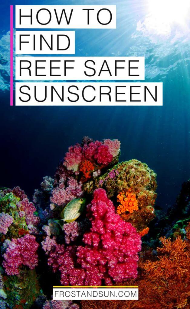 Photo of a colorful coral reef and a yellow fish. Overlying text reads: "How to find reef safe sunscreen."