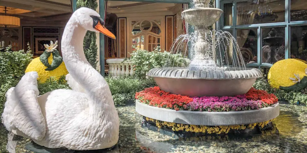 Photo of a floral display at Bellagio. A swan swims in a fountain with giant floral lemons in the background.