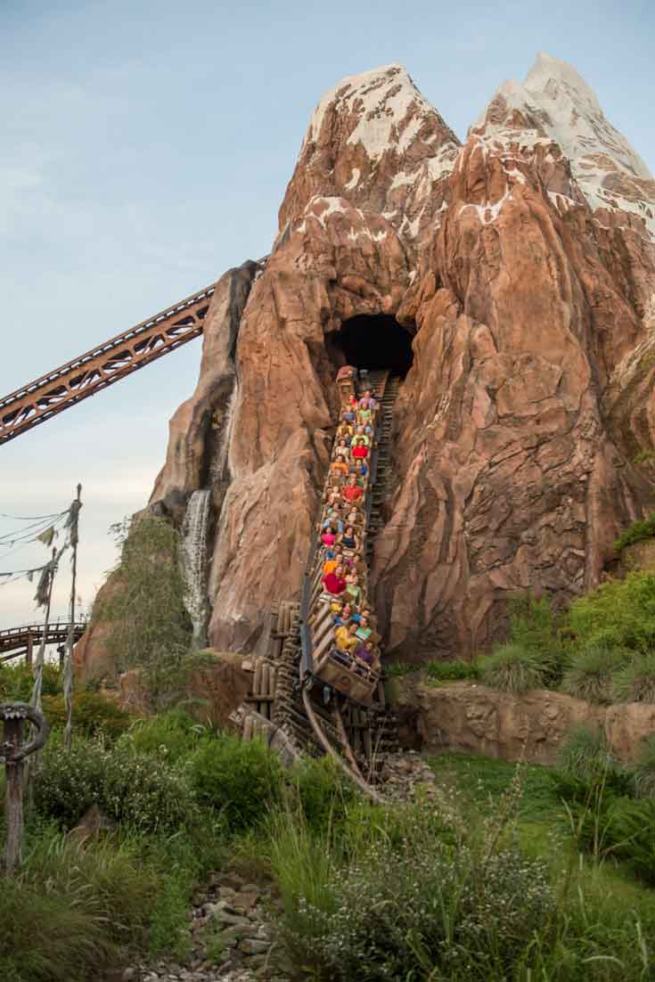 Portrait view of one of the downhill drops on the Expedition Everest roller coaster at Disney World's Animal Kingdom.