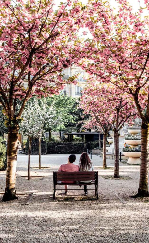 A male and female sit on a wooden park bench between pink blooming cherry blossom trees in Paris, France.