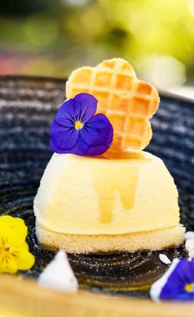 Close up photograph of the honey marscapone cheesecake with a violet flower on top.