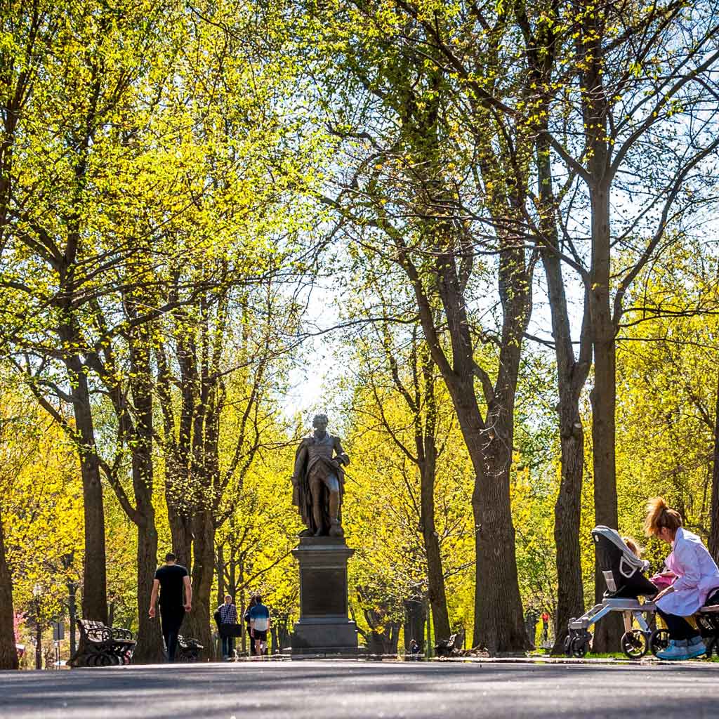 People walking in a park with bright yellow leafy trees.