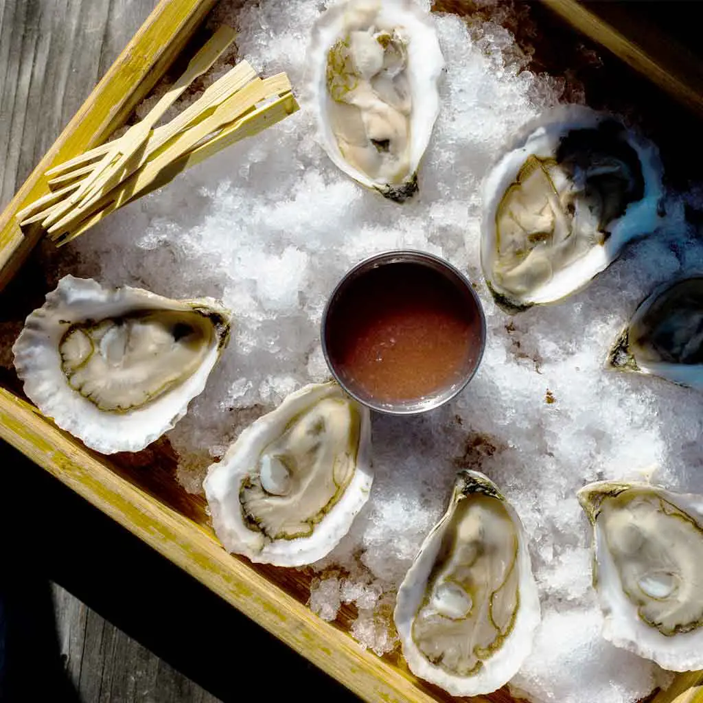 Flat lay photograph of oysters on a half shell arranged atop a bed of ice with a container of red sauce in the middle.