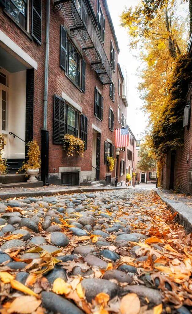 Cobblestone street with orange leaves on the ground amidst brick row houses.