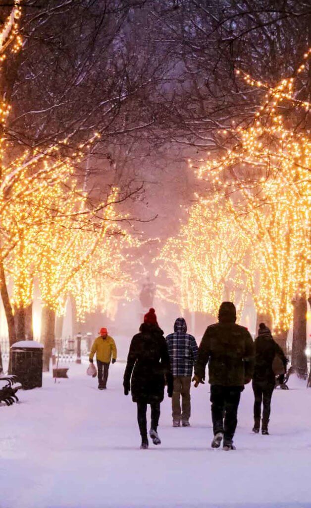 Photo of people walking down the pathway through the Commonwealth Ave park in Back Bay on a snowy evening with bare trees covered in yellow holiday lights.