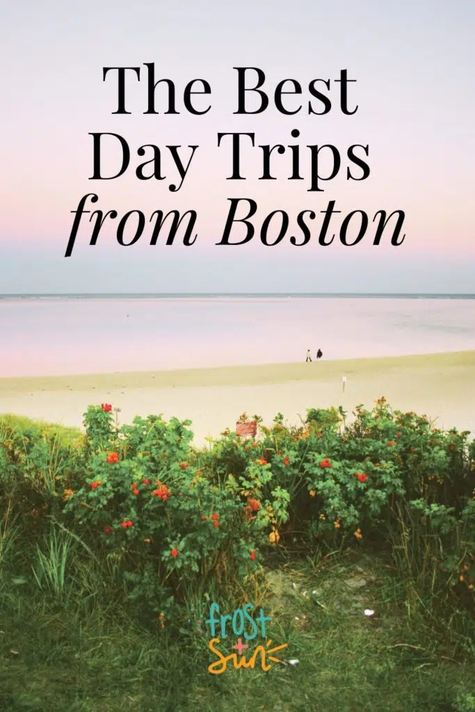 Photo of a beach in Cape Cod, MA, from behind some sea roses. Text at the top of the photo reads: The Best Day Trips from Boston.