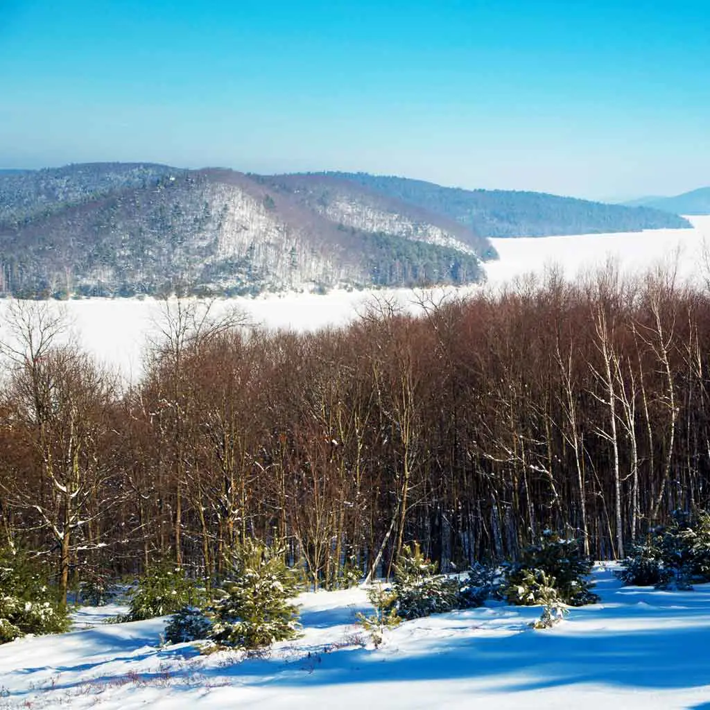 Landscape view of Mount Tom State Reservation in Holyoke, MA