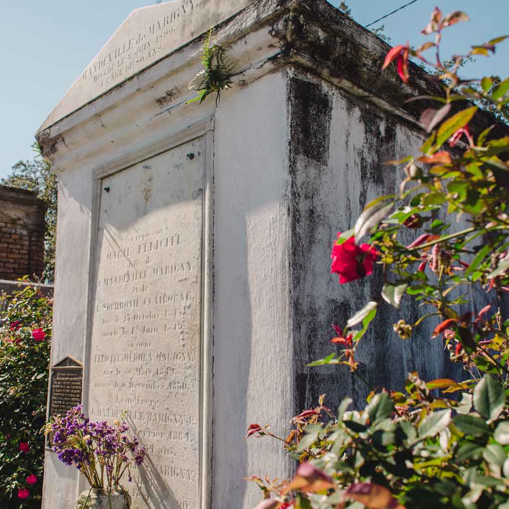 Close up of an above-ground crypt at a cemetery with wild roses growing around it.