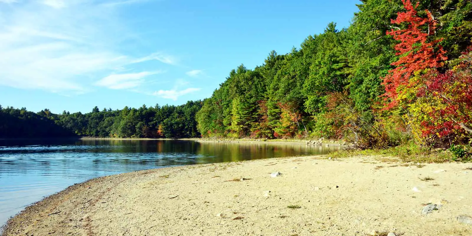 Landscape view of Walden Pond in Concord, MA during the Fall season with red, yellow and green trees in the background.