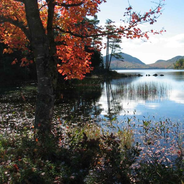 21 Best Things To Do In Acadia National Park (Updated For 2024)