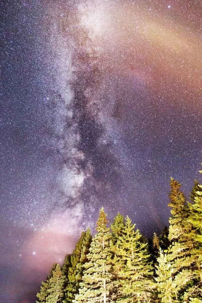 Thousands of stars against a dark purplish-blue sky with evergreen trees in the foreground.