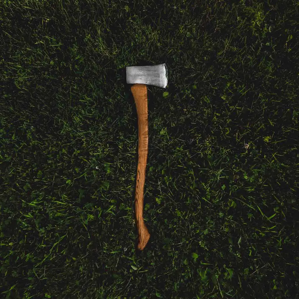 Aerial photo of an axe lying in grass.