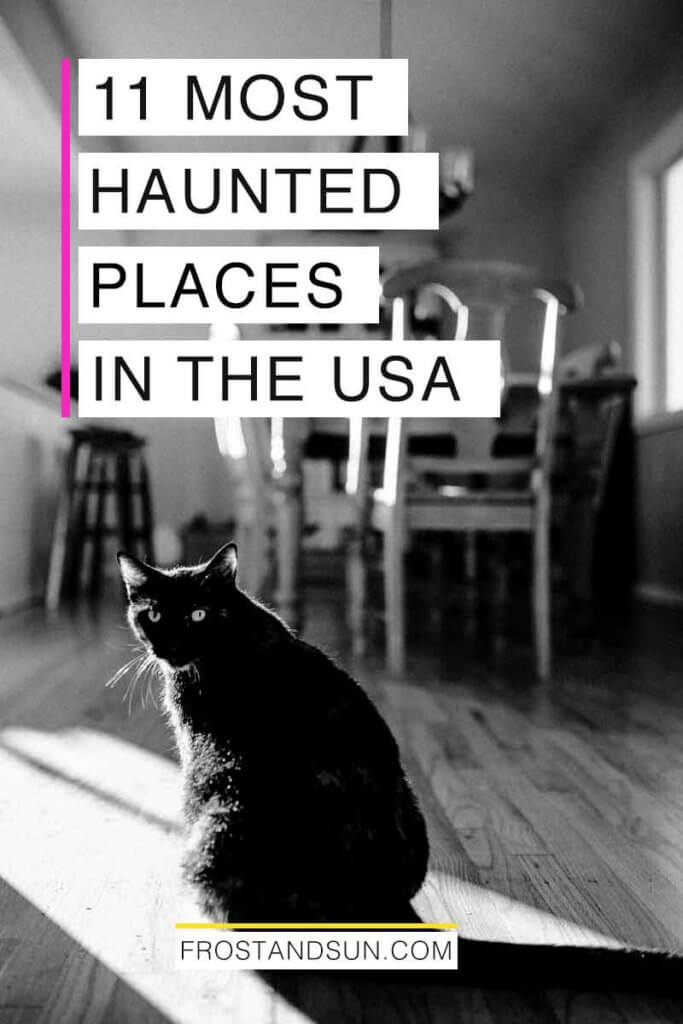 Black and white photograph of a black cat sitting in a dining room. Overlying text reads "11 Most Haunted Places in the USA."