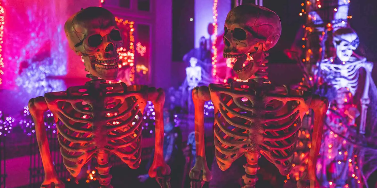 Closeup of 2 faux human skeletons posed looking at each other, with one screaming.