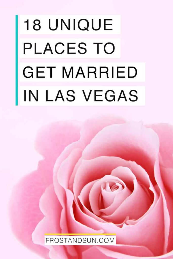 Closeup of a pink rose. Overlying text reads "10 Unique Wedding Venues in Las Vegas."