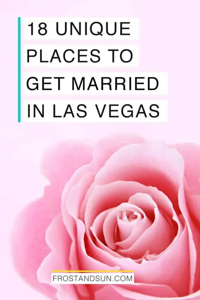 Closeup of a pink rose. Overlying text reads "10 Unique Wedding Venues in Las Vegas."