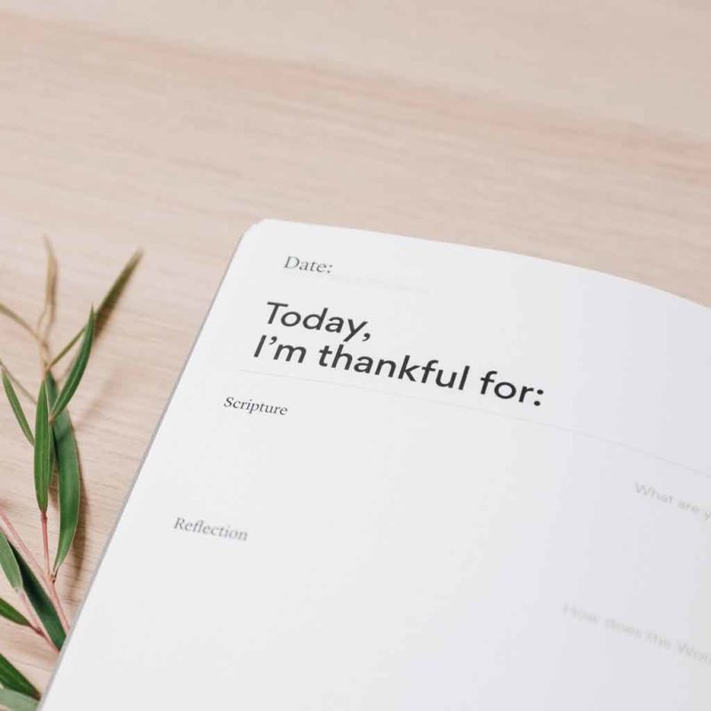 16 Best Travel Journals for Documenting a Trip in 2023