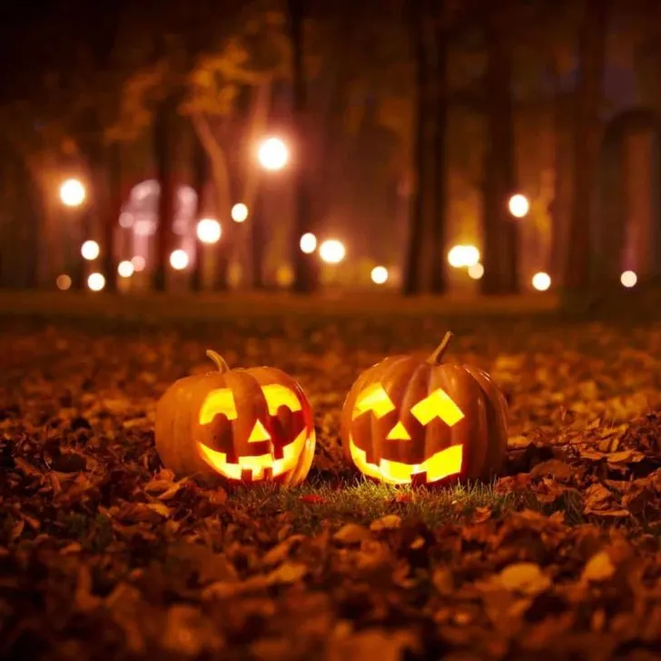 Photo of 2 carved pumpkins artfully arranged amongst fallen leaves at night.