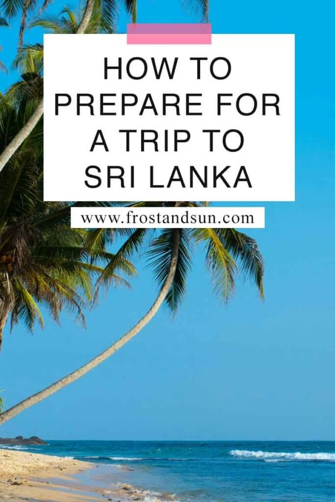 Closeup of coconut trees growing on a tropical beach. Overlying text reads "How to Prepare for a Trip to Sri Lanka."
