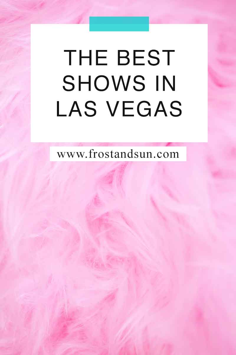 30 Best Shows in Vegas that You Must See