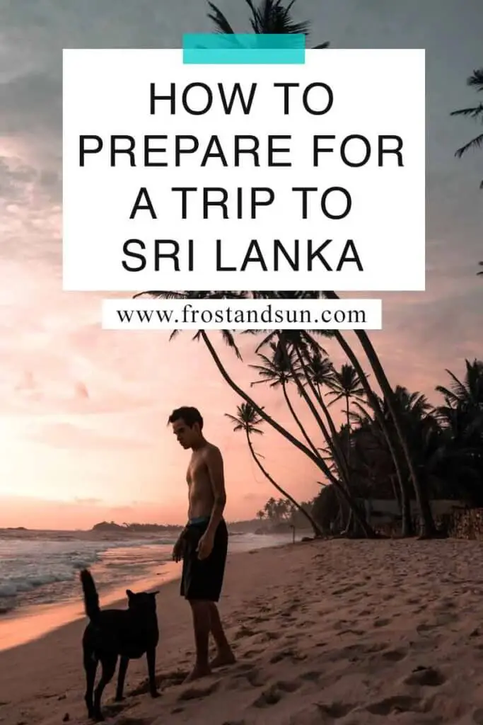 Photo of a man and a dog walking on a beach. Overlying text reads "How to Prepare for a Trip to Sri Lanka."