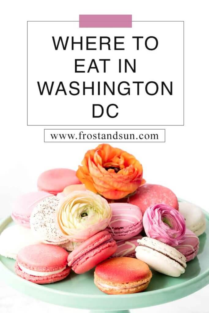 Closeup of a plate of pink and orange macarons and flower garnish. Overlying text reads "Where to Eat in Washington, DC."