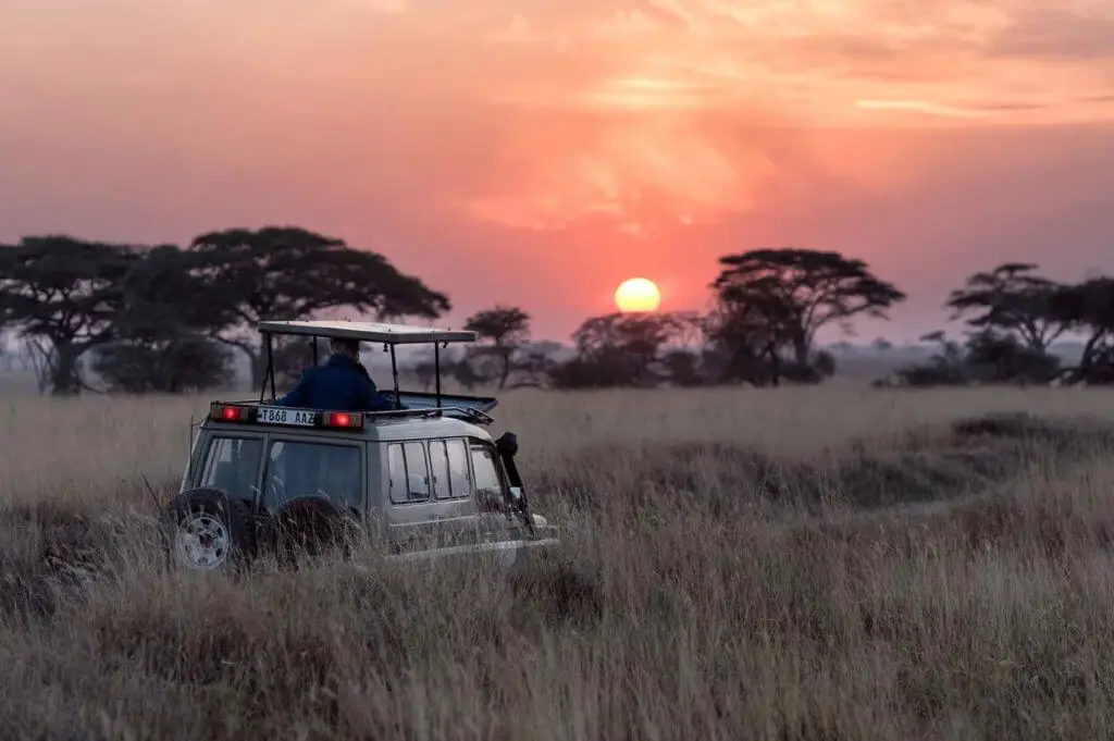 Landscape view of a Land Rover vehicle driving through tall grass flatlands with the sun setting in the background.