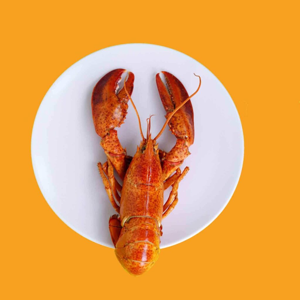 Closeup of a cooked red lobster on a white plate over a golden yellow surface.