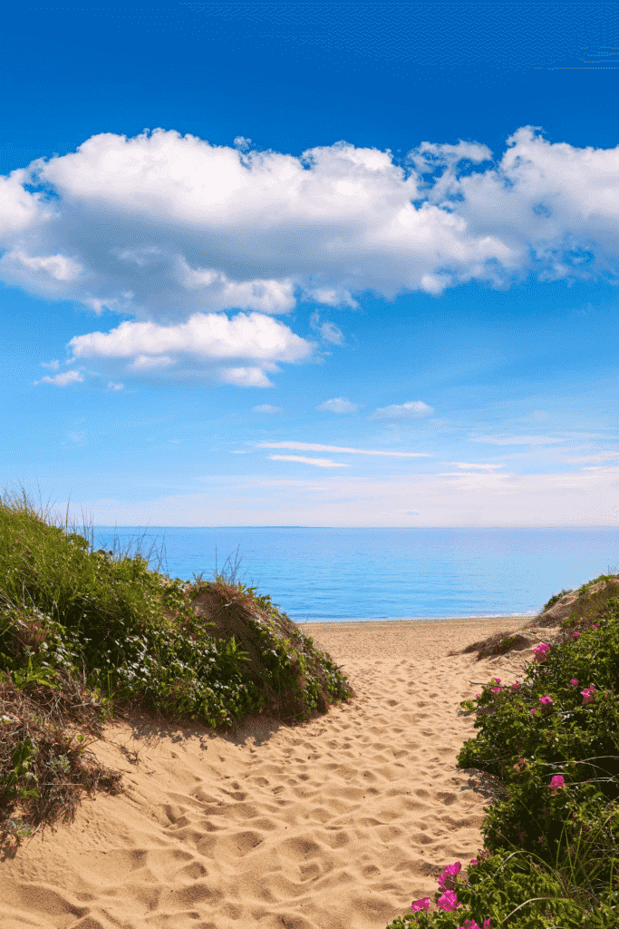 Photo of a sandy path leading to Herring Cove Beach in Provincetown, MA, Cape Cod.