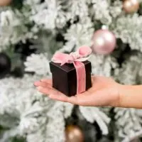Closeup of a person holding a small wrapped gift box with a pink ribbon in front of a flocked Christmas tree.