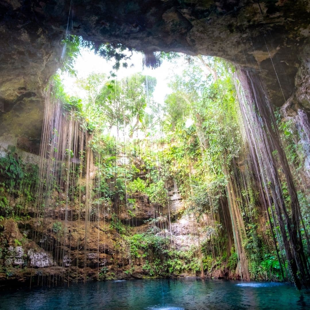 Photo from inside a cenote with vines hanging down from rocks and the sun shining through.