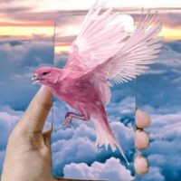 Photo of a surrealistic photo edit with a pink bird appearing to fly out of a mobile phone with clouds in the background.